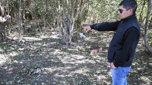 Cinco adolescentes detenidos por la violación de una chica de 15 años