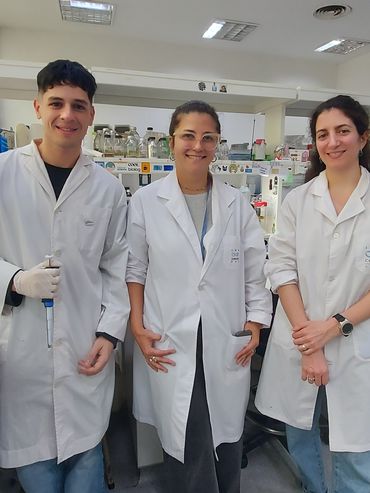 Innovación y ciencia en Rosario: desarrollan un test rápido de dengue