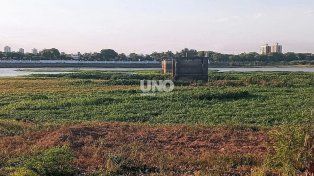Por qué Prefectura no es la responsable de retirar los camalotes en la laguna