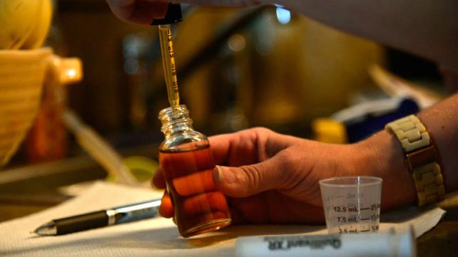 Madres presentaron un amparo colectivo para el autocultivo de cannabis