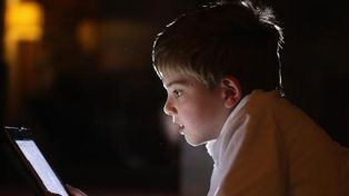 La mayoría de los padres teme que sus hijos sean acosados por un adulto en internet
