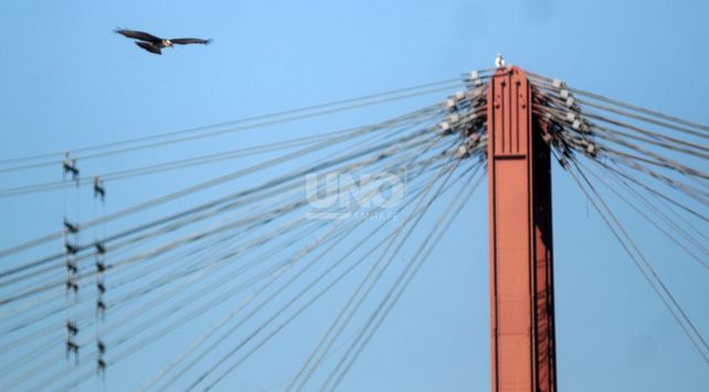 puente cielo