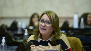 Mónica Fein, diputada nacional y ex intendenta de Rosario.