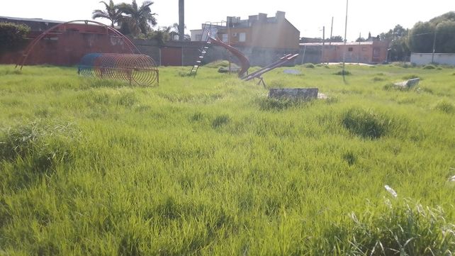 Plaza María del Carmen Caviglia de Boeykens con pastizales de más de 80 centímetros de alto y basura.