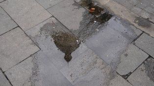 El tiempo en Rosario: el día podría empezar con lluvias y terminar con viento