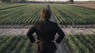 El Gobierno de Milei quiere eliminar restricciones que limitan la compra de tierras por parte de extranjeros