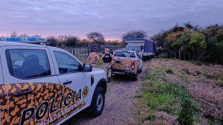 La Paz: banda de cuatreros fue detenida cuando robaba 13 animales
