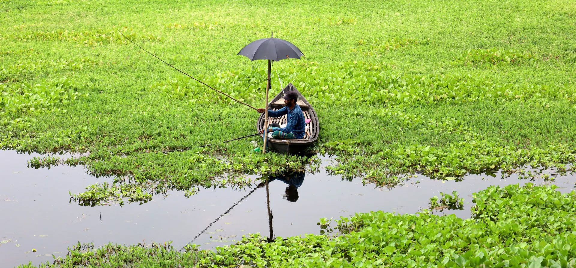 Gazipur, Bangladesh. Un hombre se refugia bajo un paraguas mientras pesca peces púa de pantano en los humedales de Belai Beel. Fotografía: Syed Mahabubul Kader/Zuma Press Wire/Shutterstock Gazipur, Bangladesh. Un hombre se refugia bajo un paraguas mientras pesca peces púa de pantano en los humedales de Belai Beel. Fotografía: Syed Mahabubul Kader/Zuma Press Wire/Shutterstock