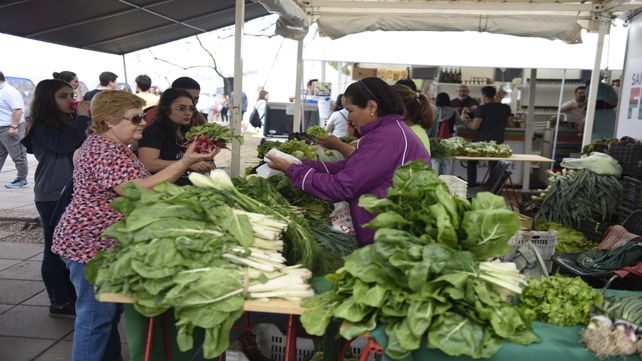 Bien natural. En las ferias se ofrecen productos de las huertas agroecológicas. 