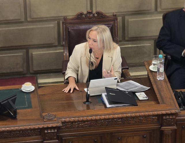 Un debate urgente: la fiscal general María Cecilia Vranicich planteó limitar el acceso de menores a las redes sociales