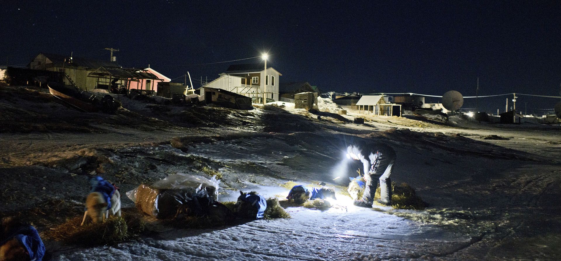 Musher Dallas Seavey atiende a su equipo durante la Iditarod Trail Sled Dog Race en Unalakleet, Alaska, el domingo 13 de marzo de 2022.