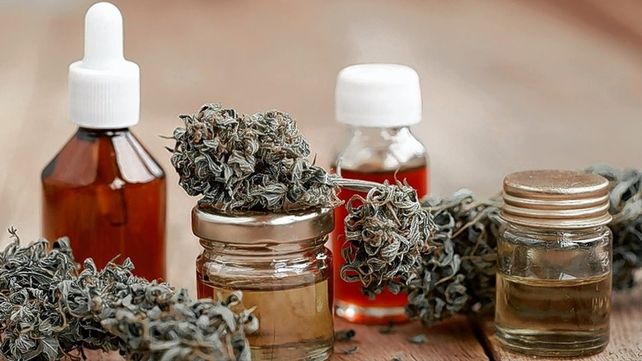Quedó oficializada la Ley de uso del Cannabis Medicinal.