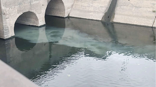 La mancha gris, en cercanías al final del entubamiento del arroyo Ludueña.