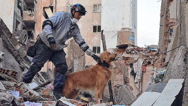 Los perros de la Brigada K9 de Entre Ríos se destacan por su labor.