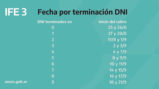 Cronograma IFE de Anses