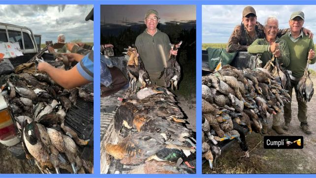 Masacre de fauna santafesina. La última resolución gubernamental establece un máximo de caza de doce patos por día y por persona.&nbsp;