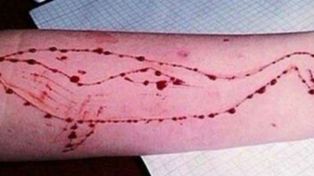 Alerta de España y otros países sobre La ballena azul, un juego etiquetado como suicida