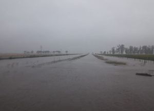 Las lluvias afectaron la siembra de soja y evalúan el impacto