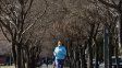 El tiempo en Rosario: un martes templado y con algunas nubes