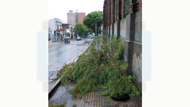 La tormenta se sintió fuerte en la madrugada de este lunes, en Paraná