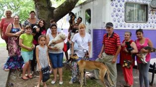 El programa de castraciones atenderá en jurisdicción de la vecinal Adelina Este