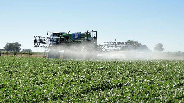 Las violaciones por la aspersión irregular de agroquímicos genera malestar social por las graves consecuencias que la actividad genera en la salud humana y el ambiente. A pesar de los años de reclamo transcurridos no consiguen la atención de los gobernantes.