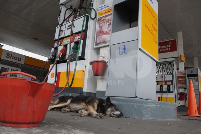 Irregular. La adhesión en las estaciones de servicio fue dispareja