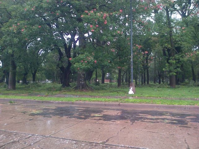 Así quedó el Parque Garay.
