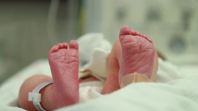 Una legisladora antiaborto propone sacar los fetos en la semana 20 y ponerlos en la incubadora