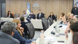 La oposición ya pidió una sesión para debatir sobre la emergencia nacional en discapacidad, y en vísperas de ese debate la Oficina de Presupuesto del Congreso ya cumplió con publicar un informe con el costo fiscal de esta medida.