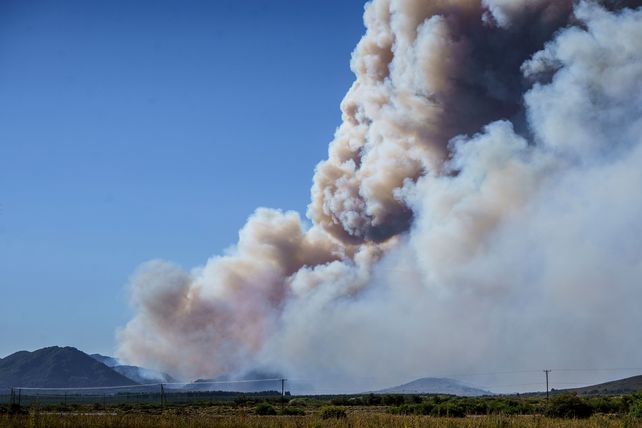 Ante el desmantelamiento de la política ambiental, más construcción colectiva