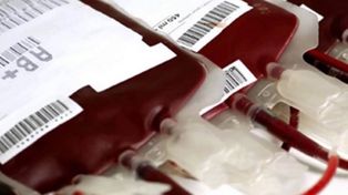 El nuevo protocolo para donar sangre quita la opción que discriminaba a homosexuales