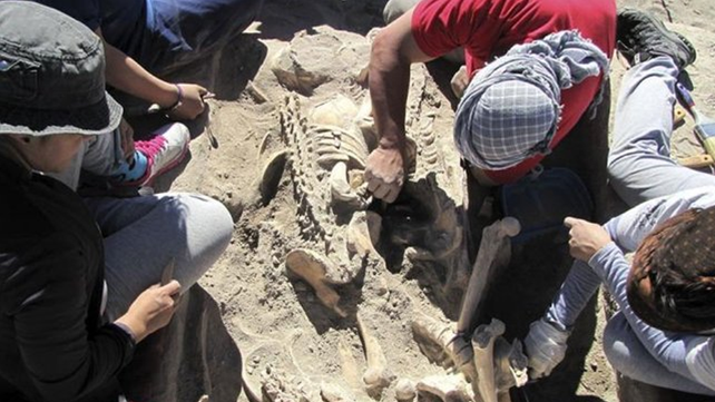 Encuentran en Mendoza un cementerio indígena de más de mil años