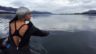 Unos 49 nadadores parten hoy desde Río Gallegos a Malvinas