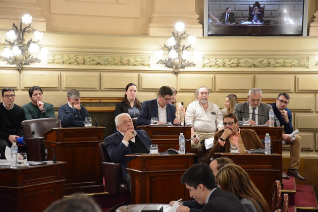 Los referentes del PJ en la Cámara alta provincial no acompañaron la iniciativa. 