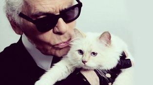 La gata del diseñador Karl Lagerfeld gana tres millones de euros al año