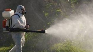 Prohíben usar agroquímicos en todos los espacios públicos