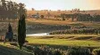 Uruguay invita a descubrir el mundo del aceite de oliva entre paisajes, sabores y experiencias