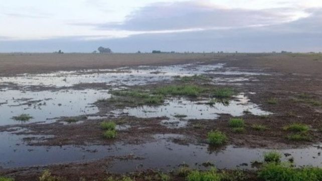 Llegaron las lluvias. La falta de agua ya se sentía fuerte en algunas localidades.