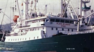 Liberan a pescadores espa&ntilde;oles secuestrados por piratas en Somalia