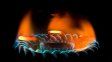 Un corte de gas natural afectó a distintos barrios de Paraná y generó preocupación. Un corte de gas natural afectó a distintos barrios de Paraná y generó preocupación.