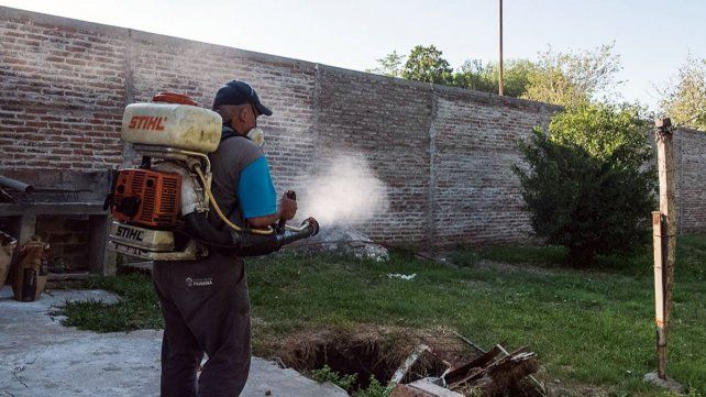 Dengue en Paraná: piden eliminar recipientes con agua