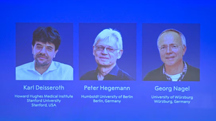 Nobel de Medicina: tres científicos ganaron por sus estudios del cerebro
