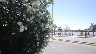 Domingo caluroso en la ciudad