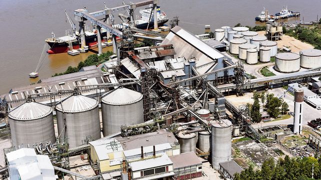 La molienda de oleaginosas retrocedió