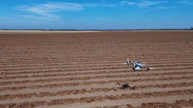 Los drones aplicadores ganan terreno en el agro y amplían las alternativas de manejo de los cultivos