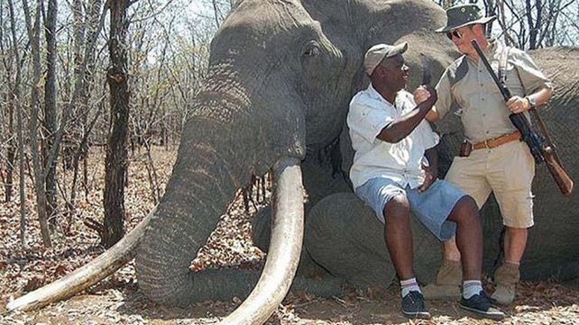 El elefante
