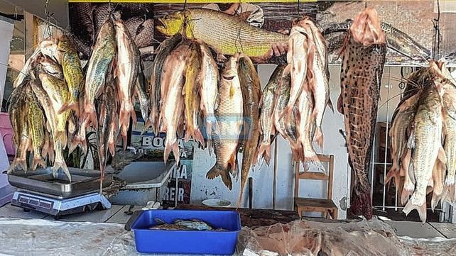 Pesca: la bajante del río Paraná preocupa la venta.
