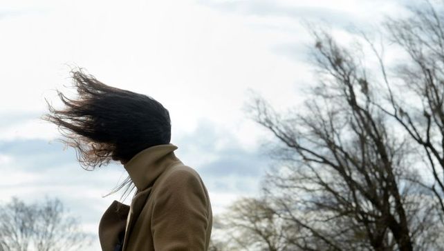 Viento del este, ¿lluvia como peste?