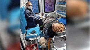 Su dueña sufrió un ACV y la perrita permaneció junto a ella